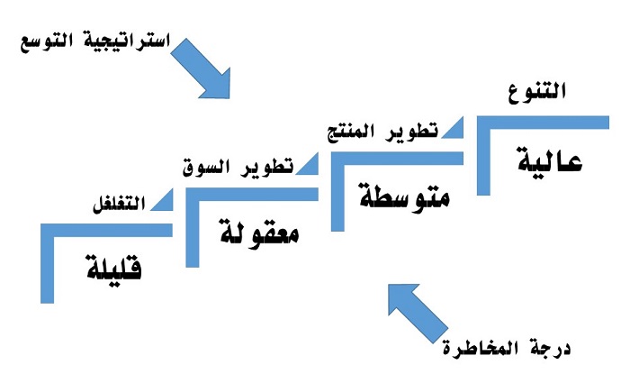 درجة المخاطرة في استراتيجيات انسوف للتوسع ثابت حجازي